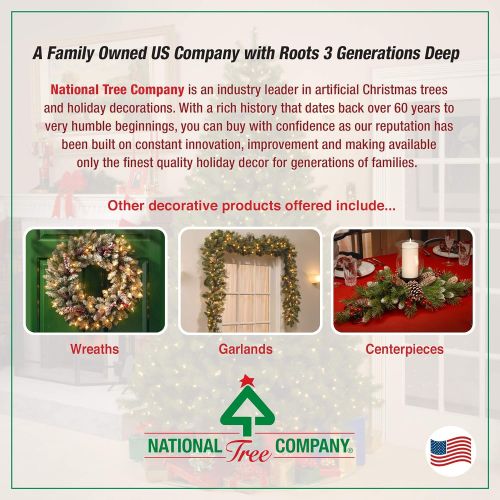  National Tree Company National Tree Holiday Decorating Assortment with 2 3 Foot Entrance Trees, 1 9 Foot by 8 Inch Garland and 1 24 Inch Wreath all with Warm White Battery Operated LED Lights (ED7-PRO-A