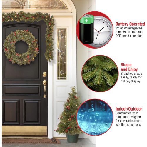  National Tree Company National Tree Holiday Decorating Assortment with 2 3 Foot Entrance Trees, 1 9 Foot by 8 Inch Garland and 1 24 Inch Wreath all with Warm White Battery Operated LED Lights (ED7-PRO-A