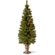 National Tree Company National Tree 5 Foot Montclair Spruce Entrance Tree with 100 Clear Lights in Gold Urn (MC7-308-50)