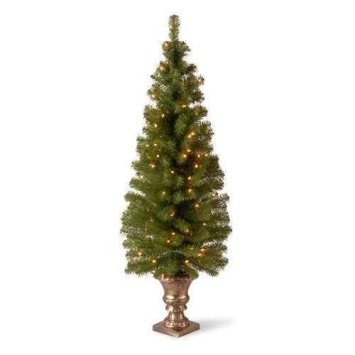  National Tree Company National Tree 5 Foot Montclair Spruce Entrance Tree with 100 Clear Lights in Gold Urn (MC7-308-50)