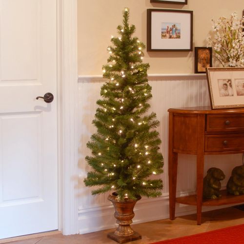  National Tree Company National Tree 5 Foot Montclair Spruce Entrance Tree with 100 Clear Lights in Gold Urn (MC7-308-50)