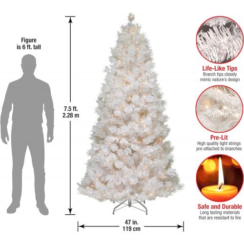  National Tree Company National Tree 7.5 Foot Wispy Willow Grande White Slim Tree with Silver Glitter and 500 Velvet Frost White Lights, Hinged (WOGW1-304-75)