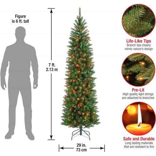  National Tree Company National Tree 6.5 Foot Kingswood Fir Pencil Tree with 250 Multicolor Lights, Hinged (KW7-313-65)