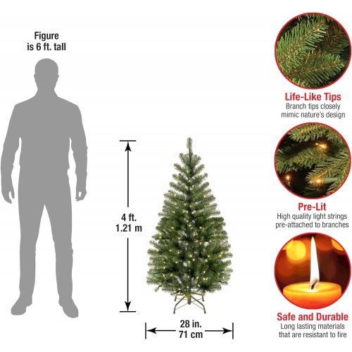  National Tree Company National Tree 6 Foot Aspen Spruce Tree with 300 Clear Lights, 6 Foot (AP7-300-60)