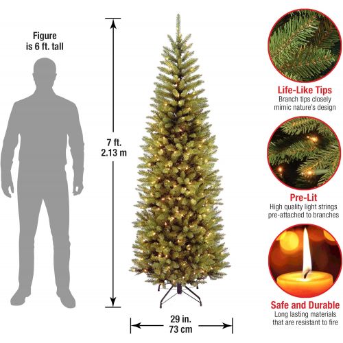  National Tree Company National Tree 6.5 Foot Kingswood Fir Pencil Tree with 250 Clear Lights, Hinged (KW7-300-65)