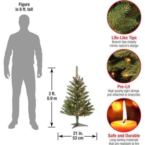  National Tree Company National Tree 6.5 Foot Kingswood Fir Pencil Tree with 250 Clear Lights, Hinged (KW7-300-65)