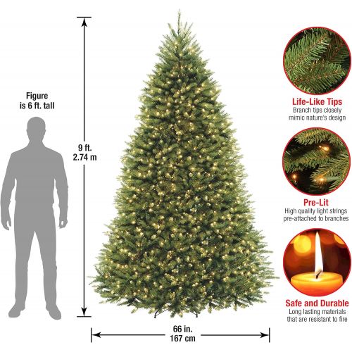  National Tree Company National Tree 9 Foot Dunhill Fir Tree with 900 Clear Lights, Hinged (DUH-90LO)