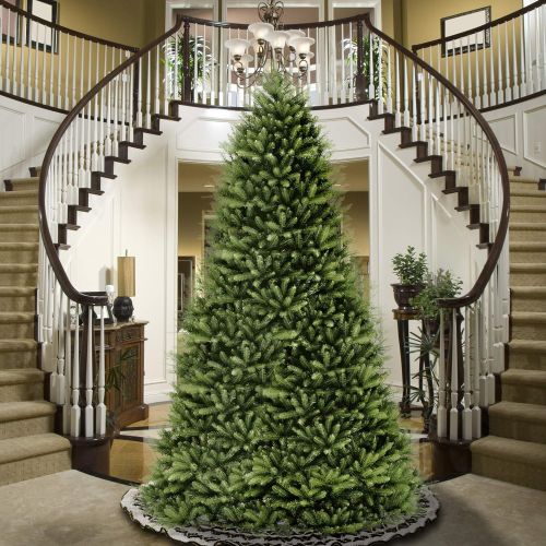  National Tree Company National Tree 12 Foot Dunhill Fir Tree, Hinged (DUH-120)