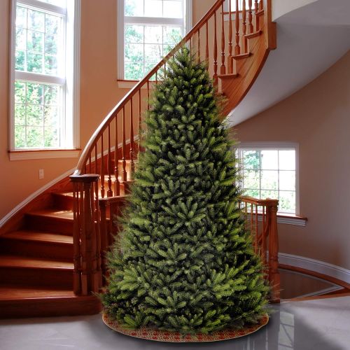  National Tree Company National Tree 12 Foot Dunhill Fir Tree, Hinged (DUH-120)