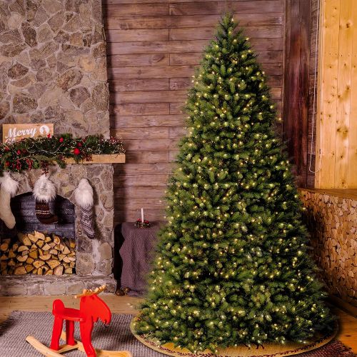  National Tree Company National Tree 10 Foot Dunhill Fir Tree with 1200 Clear Lights, Hinged (DUH-100LO-S)
