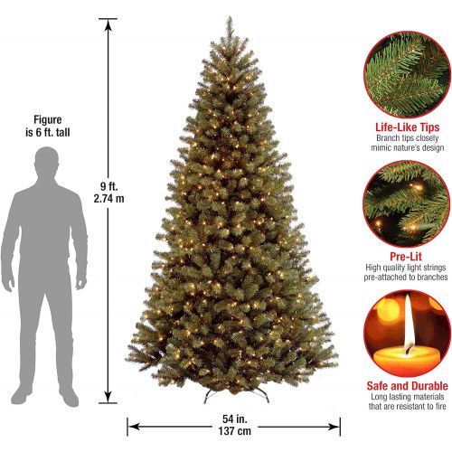  National Tree Company National Tree 9 Foot North Valley Spruce Tree with 700 Clear Lights, Hinged (NRV7-300-90)