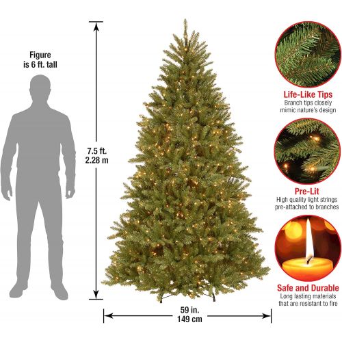  National Tree Company National Tree 7.5 Foot Dunhill Fir Tree with 750 Clear Lights, Hinged (DUH-75LO)
