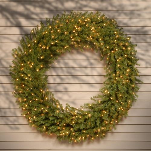  National Tree Company National Tree 60 Inch Norwood Fir Wreath with 300 Clear Lights (NF-60WLO)