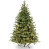 National Tree Company National Tree 6.5 Foot Frasier Grande Tree