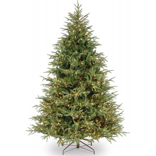  National Tree Company National Tree 6.5 Foot Frasier Grande Tree