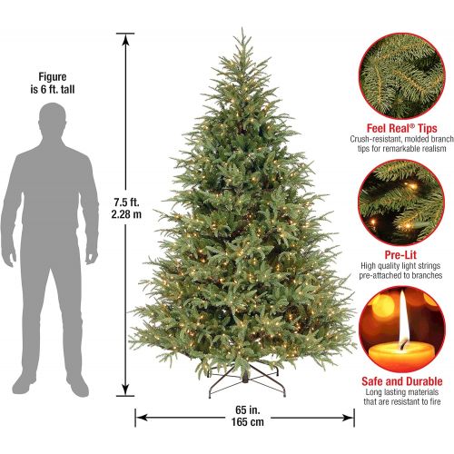  National Tree Company National Tree 6.5 Foot Frasier Grande Tree