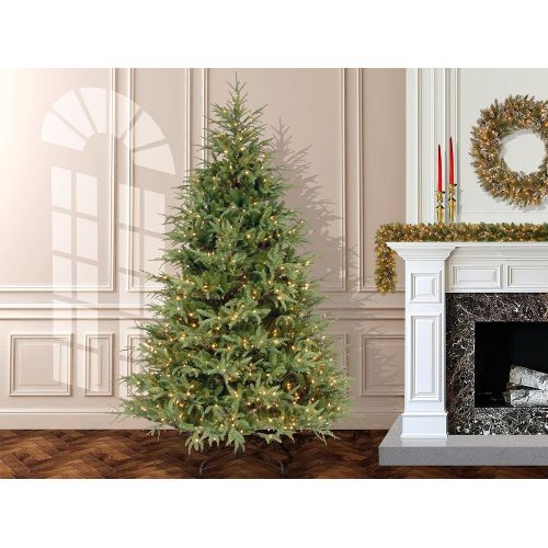  National Tree Company National Tree 6.5 Foot Frasier Grande Tree