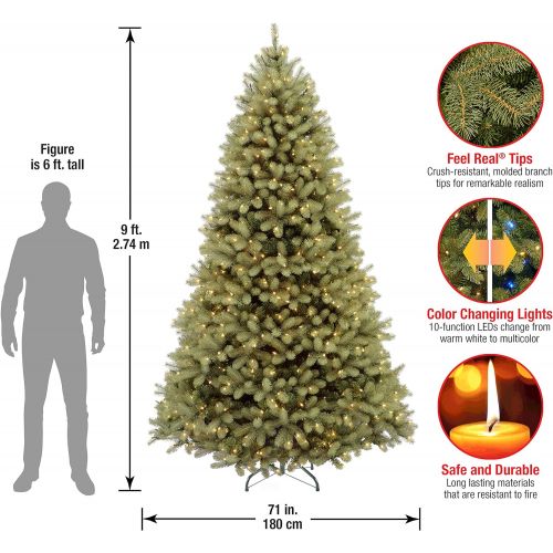  National Tree Company National Tree 7.5 Foot Feel Real Downswept Douglas Fir Tree with 750 Dual Color LED Lights and OnOff Switch, Hinged (PEDD1-312LD-75X)