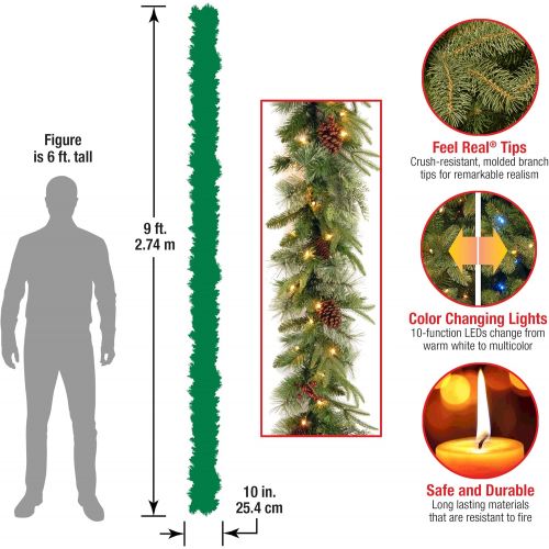  National Tree Company Pre-Lit Feel Real Artificial Christmas Garland, Green, Colonial Fir, Dual Color LED Lights, Decorated With Pine Cones, Plug In, Christmas Collection, 9 Feet