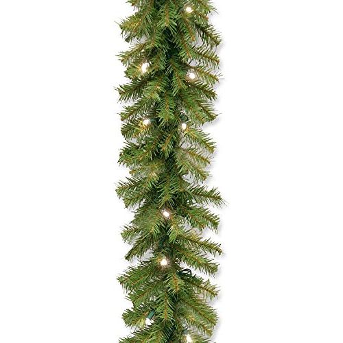  National Tree Company Pre-Lit Artificial Christmas Garland, Green, Norwood Fir, White Lights, Battery Operated, Christmas Collection, 9 Feet