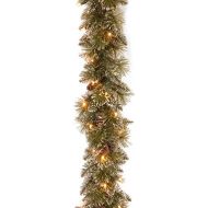 National Tree Company Pre-Lit Artificial Christmas Garland, Green, Glittery Bristle Pine, White Lights, Decorated with Pine Cones, Battery Operated, Christmas Collection, 9 Feet