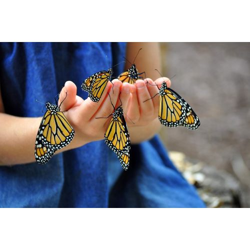  Nature Bound Butterfly Growing Habitat Kit - with Voucher to Redeem Live Caterpillars for Home or School Use - Green Pop-Up Cage 12-Inches Tall