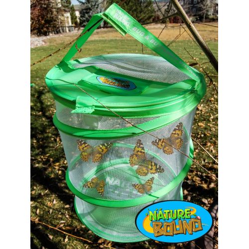  Nature Bound Butterfly Growing Habitat Kit - with Voucher to Redeem Live Caterpillars for Home or School Use - Green Pop-Up Cage 12-Inches Tall