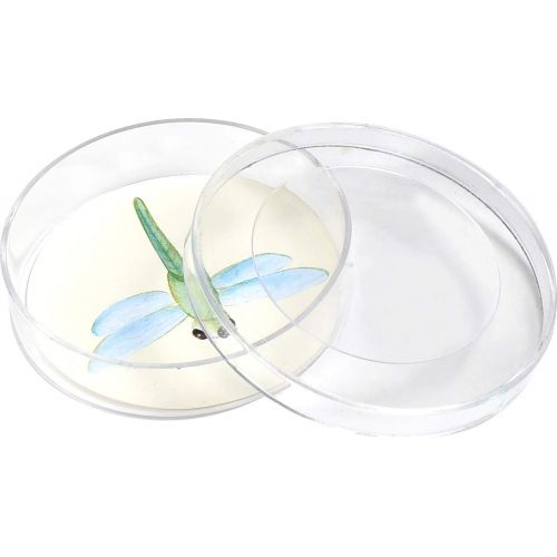  [아마존베스트]Nature Bound Bug Catcher with Habitat Bucket and 7 Piece Nature Exploration Set