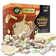 Nature Gear 15 Mystery Fossils + Bonus Glow-in-The-Dark - Excavation Adventure Kit - Science STEM Learning Kids Activity