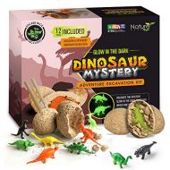 Nature Gear Glow in The Dark - 12 Mystery Excavation Adventure Dinosaur Eggs Kit - Science STEM Learning Kids Activity