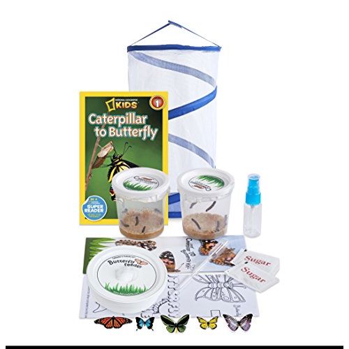  [아마존베스트]Nature Gift Store Live Butterfly Growing Kit: Shipped with 10 Live Caterpillars Now, Pop-Up Cage, Book and Stickers Bundle