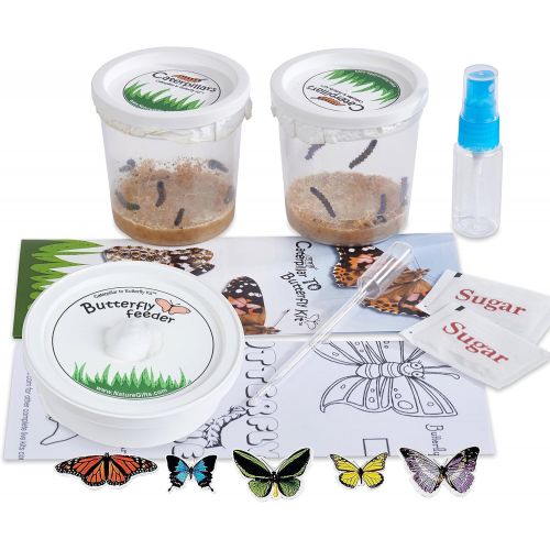  [아마존베스트]Nature Gift Store Live Butterfly Growing Kit: Shipped with 10 Live Caterpillars Now, Pop-Up Cage, Book and Stickers Bundle