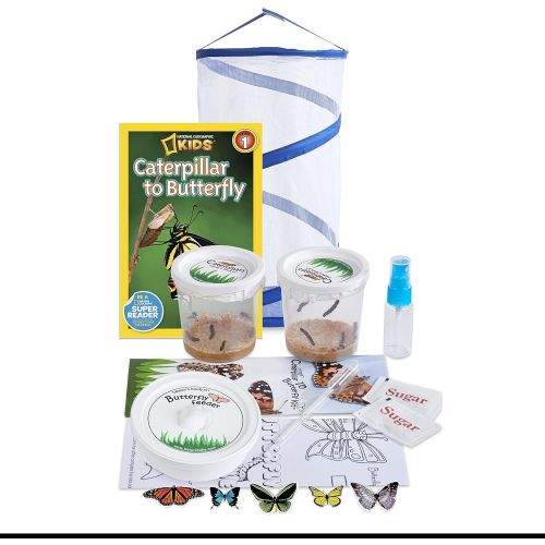  [아마존베스트]Nature Gift Store Live Butterfly Growing Kit: Shipped with 10 Live Caterpillars Now, Pop-Up Cage, Book and Stickers Bundle