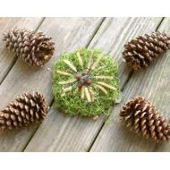 NatureFaery Pine Cone Wind Chimes, Natural Wind Chimes, Quartz Crystal Wind Chimes, Wind Chimes, Pine Cones, Fairy Garden Decoration