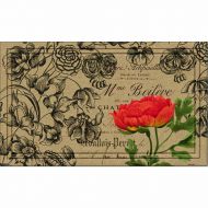 Naturelles Vintage Floral Peony Door Mat, 18-Inch by 30-Inch