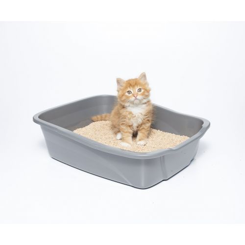  Natures sWheat Scoop Multi-Cat All-Natural Clumping Cat Litter