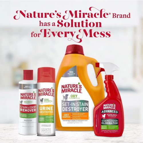  Natures Miracle Orange-Oxy Power Stain and Odor Remover