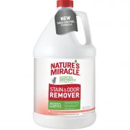 Natures Miracle Melon Burst Stain and Odor Remover Gallon
