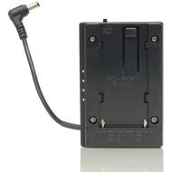 Nebtek Sony L Passthrough DV Battery Plate with 2.1mm Right Angle Connector