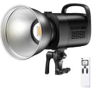 Neewer CB60 Daylight LED Monolight (Black)