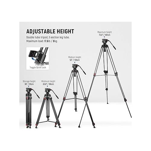 니워 NEEWER 74 Inch Pro Video Tripod with Fluid Head, QR Plate Compatible with DJI RS Gimbals Manfrotto, Durable Camera Tripod with Telescopic Handle Scaled Base for DSLR, Max. Load 17.6 lb/8 kg, TP74