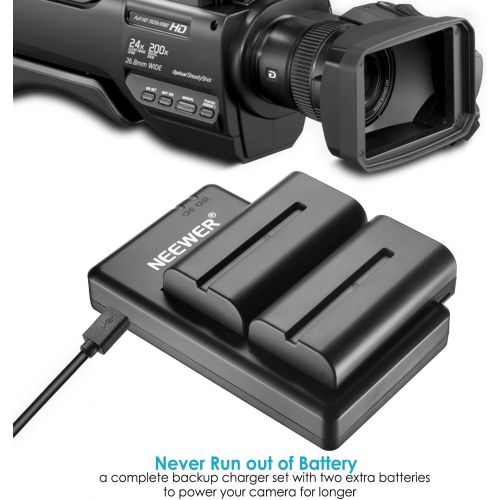 니워 [아마존 핫딜]  [아마존핫딜]Neewer NP-F550 Battery Charger Set for Sony NP F970,F750,F960,F530,F570,CCD-SC55,TR516,TR716,and More (2-Pack Replacement Battery, Dual Slot Charger)