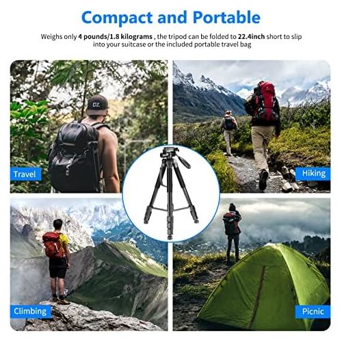 니워 Neewer Portable Aluminum Alloy Camera 2-in-1 Tripod Monopod Max. 70/177 cm with 3-Way Swivel Pan Head and Carrying Bag for DSLR,DV Video Camcorder