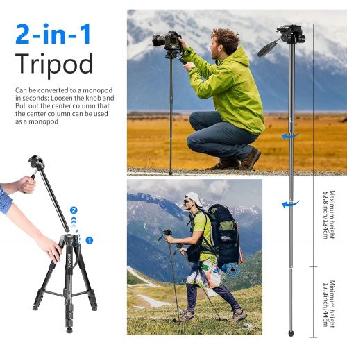 니워 Neewer Portable Aluminum Alloy Camera 2-in-1 Tripod Monopod Max. 70/177 cm with 3-Way Swivel Pan Head and Carrying Bag for DSLR,DV Video Camcorder