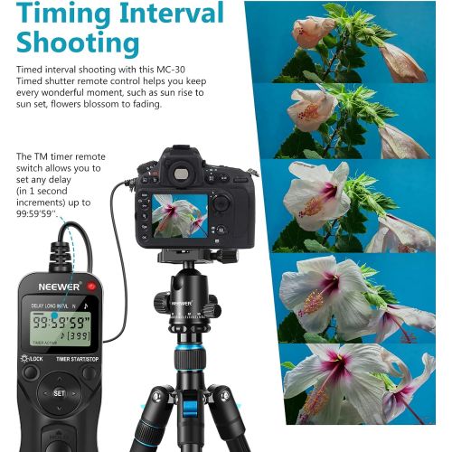 니워 Neewer Photography Digital Interval Meter Timer Remote Control Compatible with Nikon D200 D300 D300S, D700, D810 D800 D800E F5 F6 F100 F90 F90x Kodak DCS-14n Fujifilm Finepix S3pro