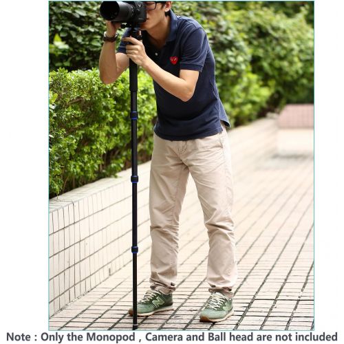 니워 Neewer Carbon Fiber Monopod, 5 Sections 19-64 inches/48-163 centimeters Adjustable Portable Stand with Carrying Bag for Canon Nikon Pentax Sony Olympus DSLR up to 22 pounds/10 kilo