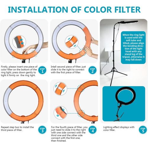 니워 Neewer Ring Light Kit:18/48cm Outer 55W 5500K Dimmable LED Ring Light, Light Stand, Carrying Bag for Camera,Smartphone,YouTube,TikTok,Self-Portrait Shooting, Black, Model:10088612