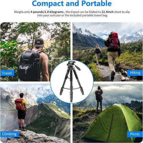 니워 Neewer Portable Aluminum Alloy Camera 2-in-1 Tripod Monopod Max. 70/177 cm with 3-Way Swivel Pan Head and Carrying Bag for DSLR,DV Video Camcorder