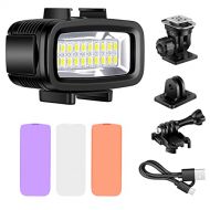 Neewer Waterproof Up to 131ft/40m Underwater 20 LED 700LM Flash Dimmable Fill Night Light with 3 Color Filter(White, Orange, Purple) for GoPro Hero 10 9 8 7 6 5 4 3+ Action Camera