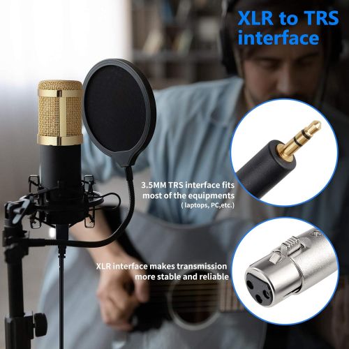 니워 [아마존베스트]Neewer NW-800 Professional Studio Broadcasting & Recording Microphone Set Including (1)NW-800 Professional Condenser Microphone + (1)Microphone Shock Mount + (1)Ball-type Anti-wind